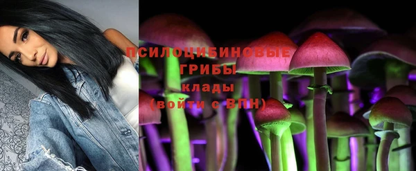 спиды Белокуриха