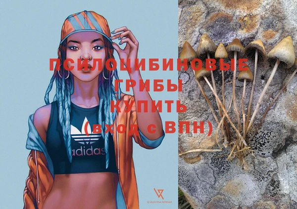 мдпв Беломорск